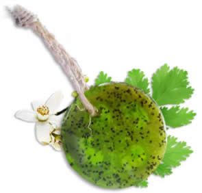 Speckless Soap Bar. Chia, Lemon, Parsley, and Coconut Oil.-thumbmail-6