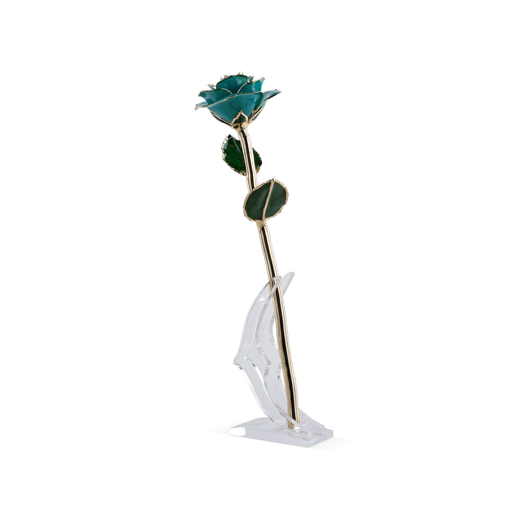 Timeless Rose (Teal)-thumbmail-1