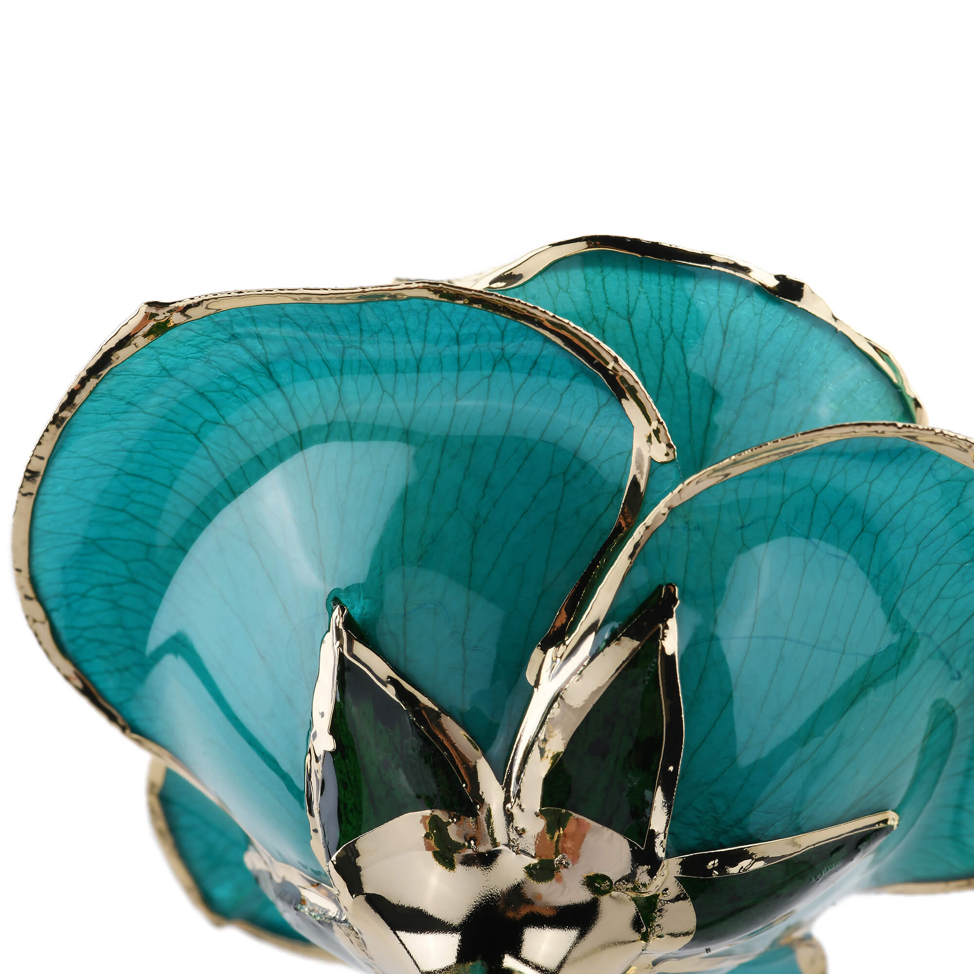 Timeless Rose (Teal)-thumbmail-4