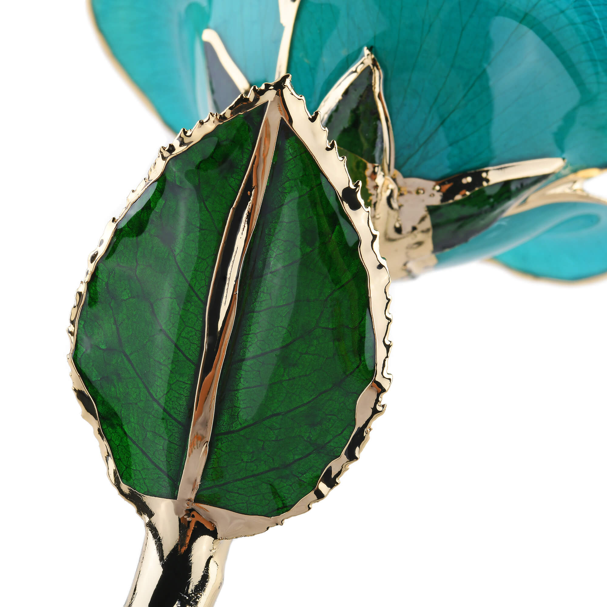 Timeless Rose (Teal)-thumbmail-5