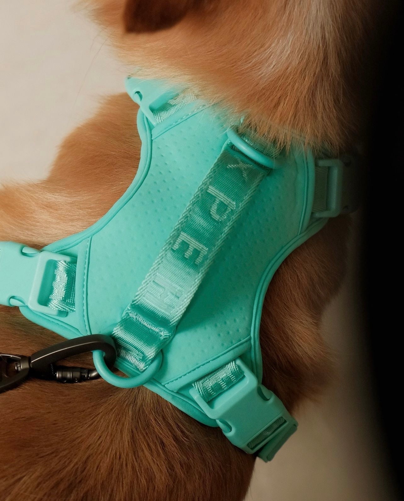 NO PULL ACTIVE  PET HARNESS - MINT GREEN-thumbmail-7