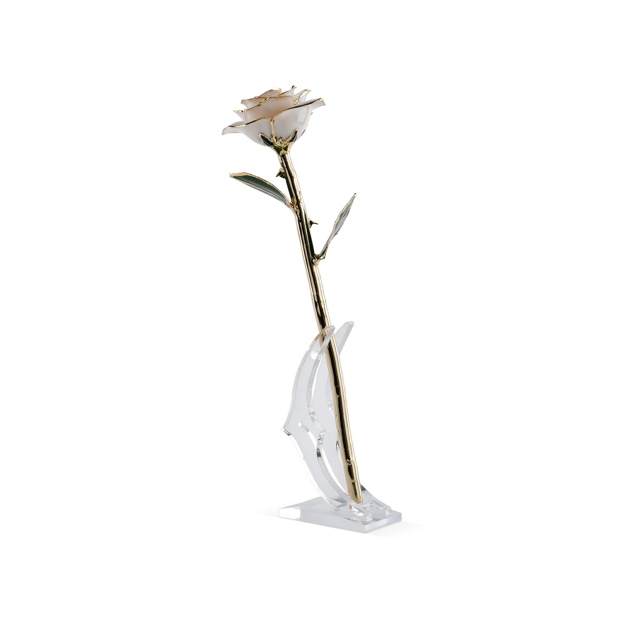 Timeless Rose (White)-thumbmail-3