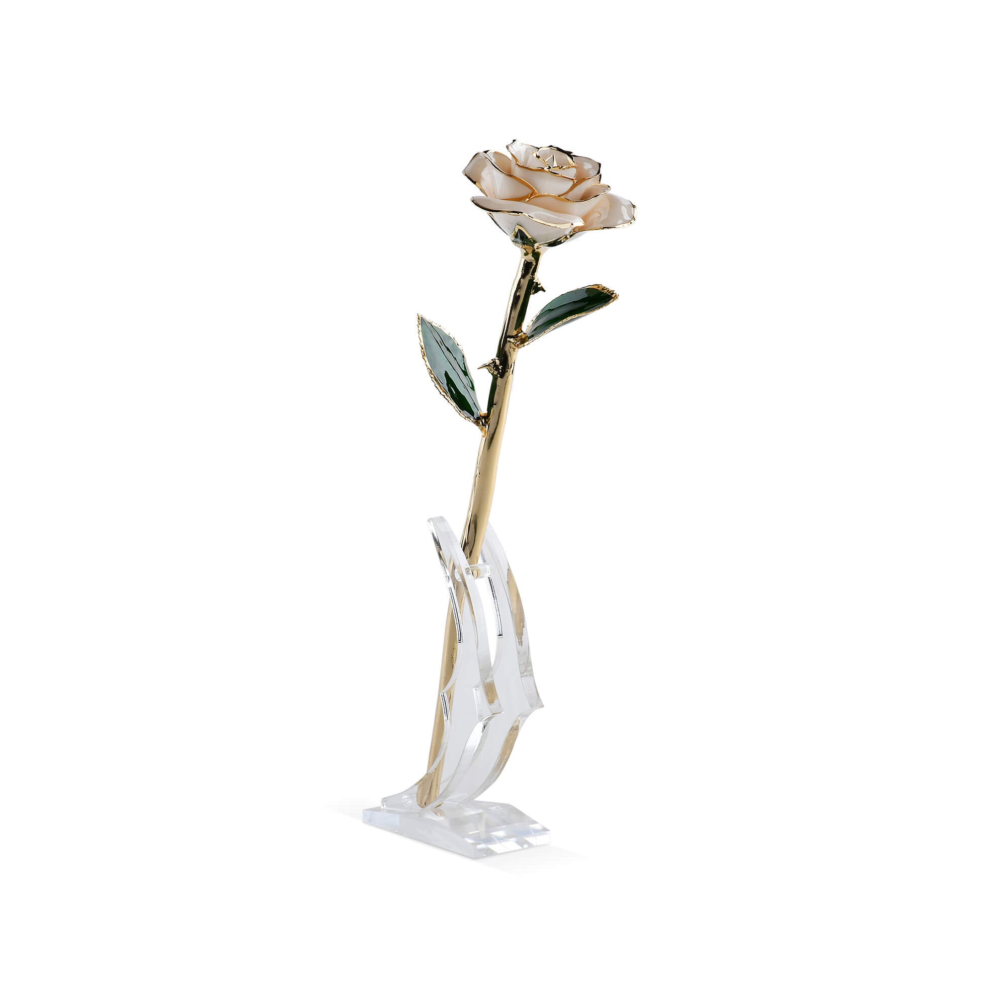 Timeless Rose (White)-thumbmail-4