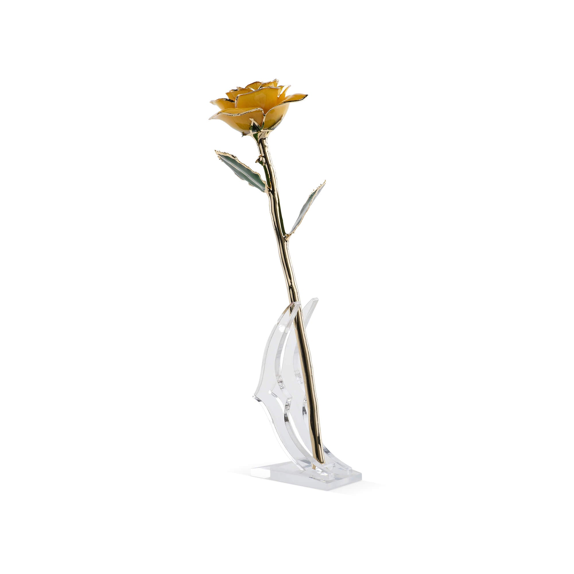 Timeless Rose (Yellow)-thumbmail-5