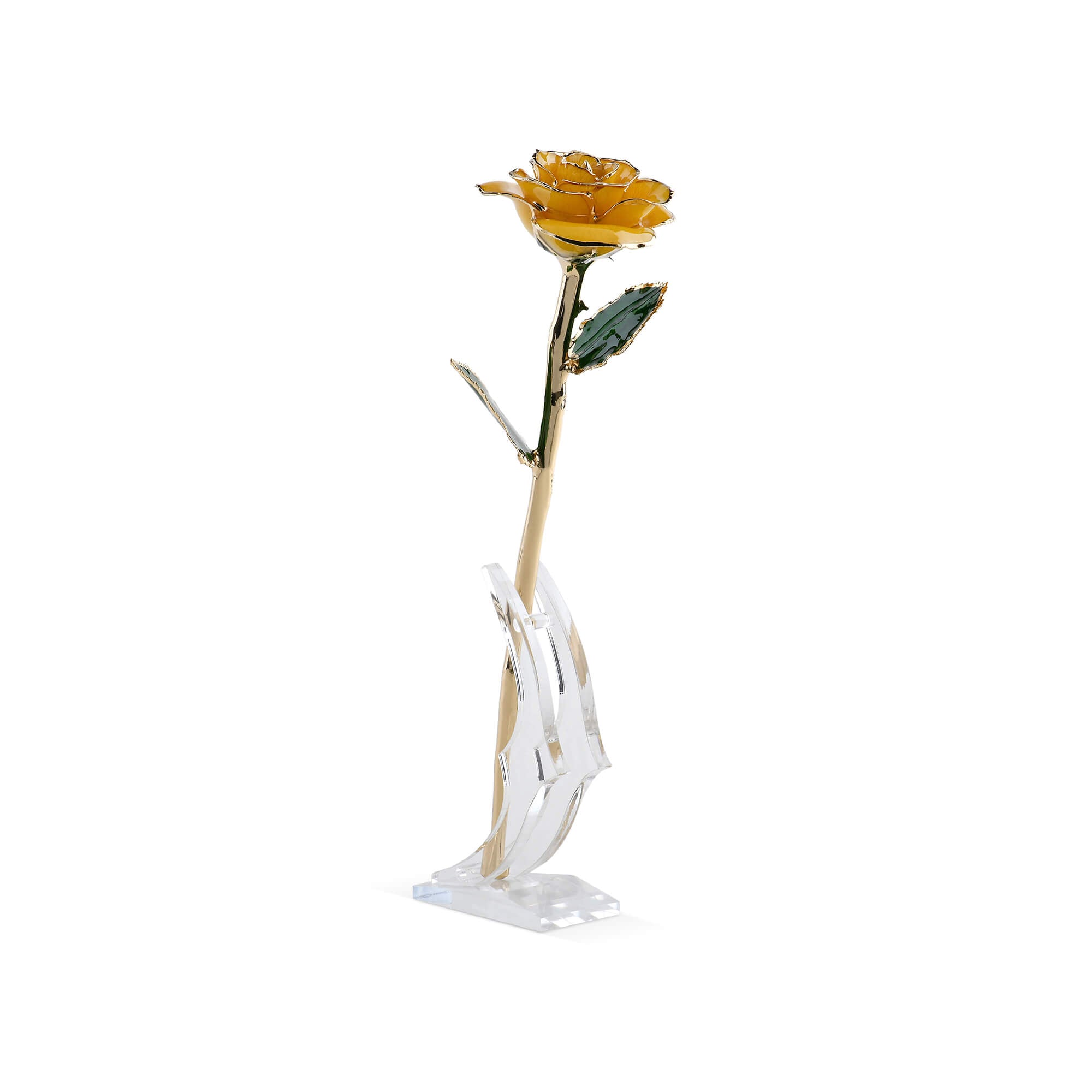 Timeless Rose (Yellow)-thumbmail-1