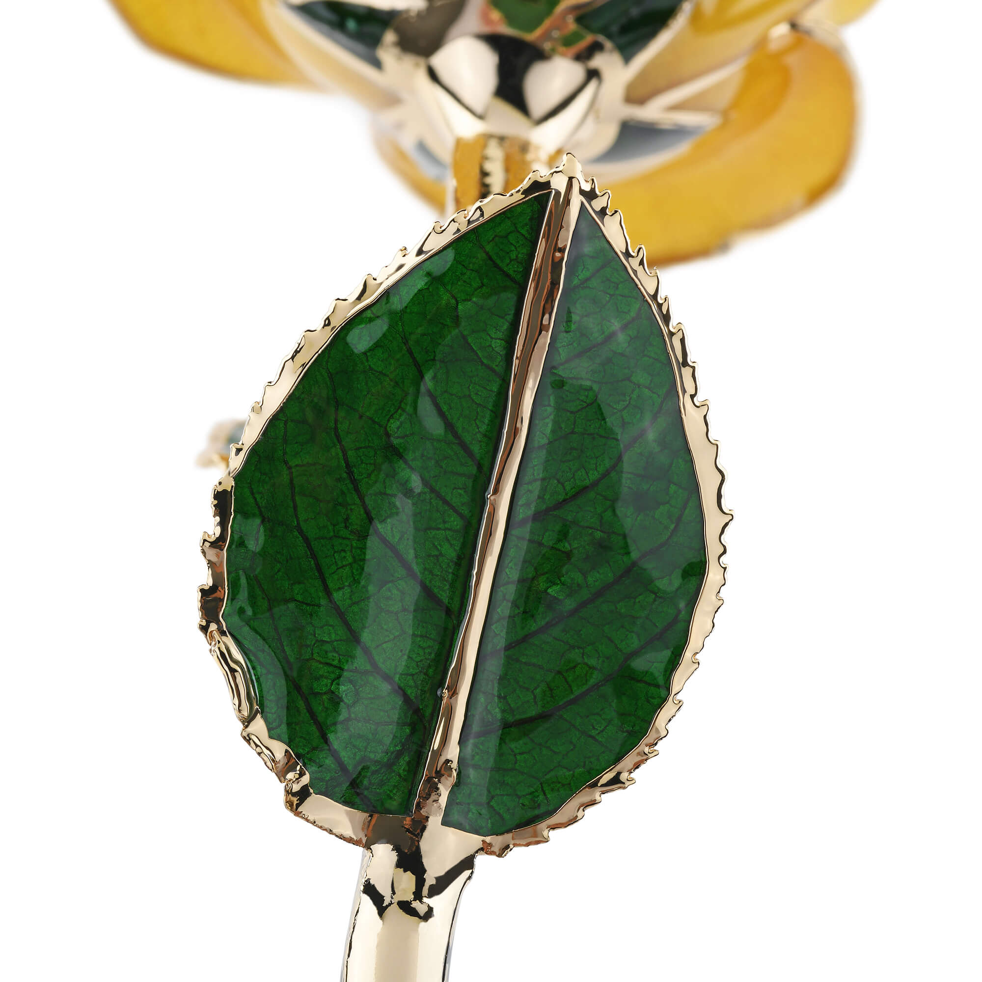Timeless Rose (Yellow)-thumbmail-4