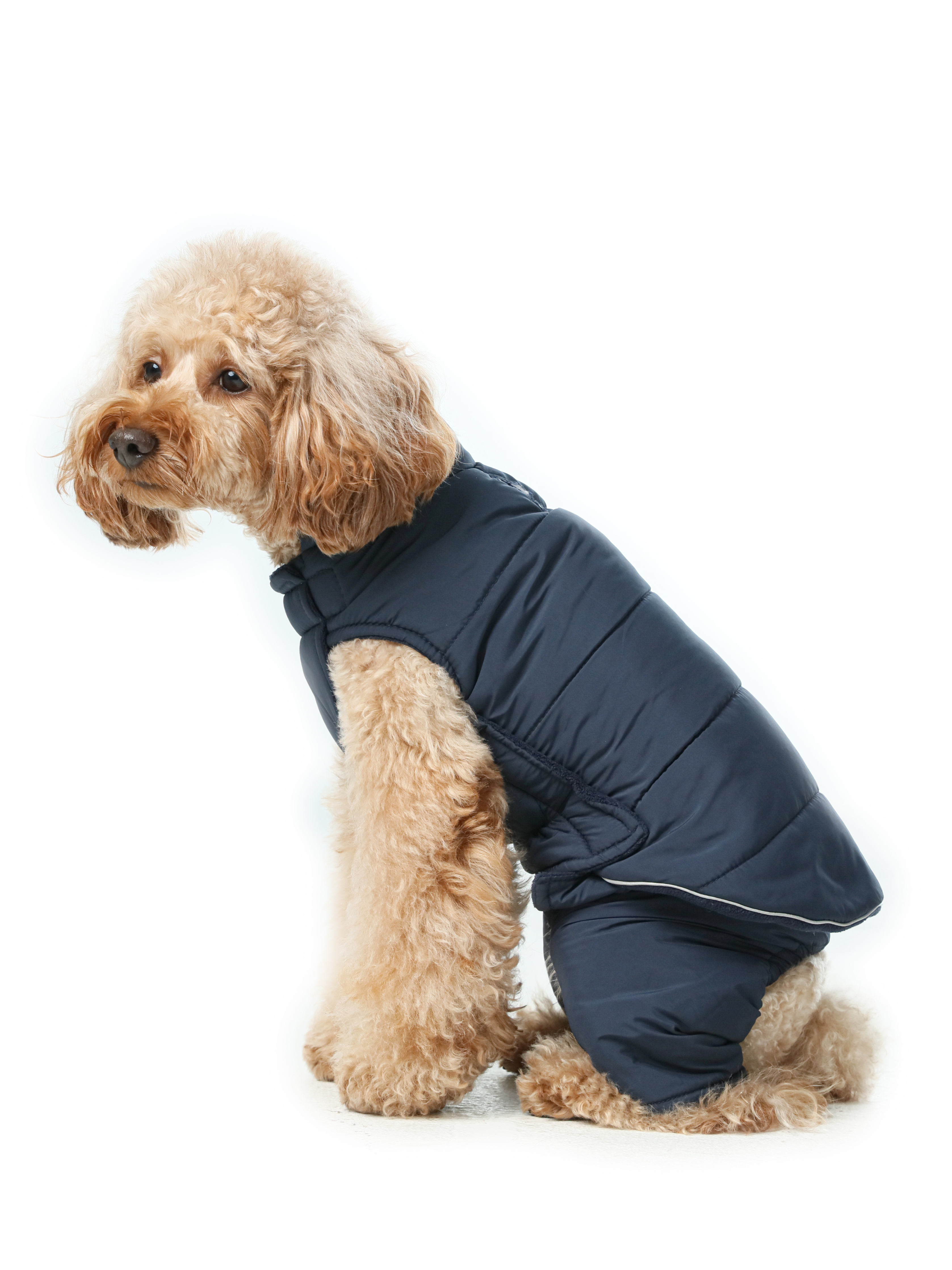 Reversible Dog Vest Jacket - Blue-thumbmail-10