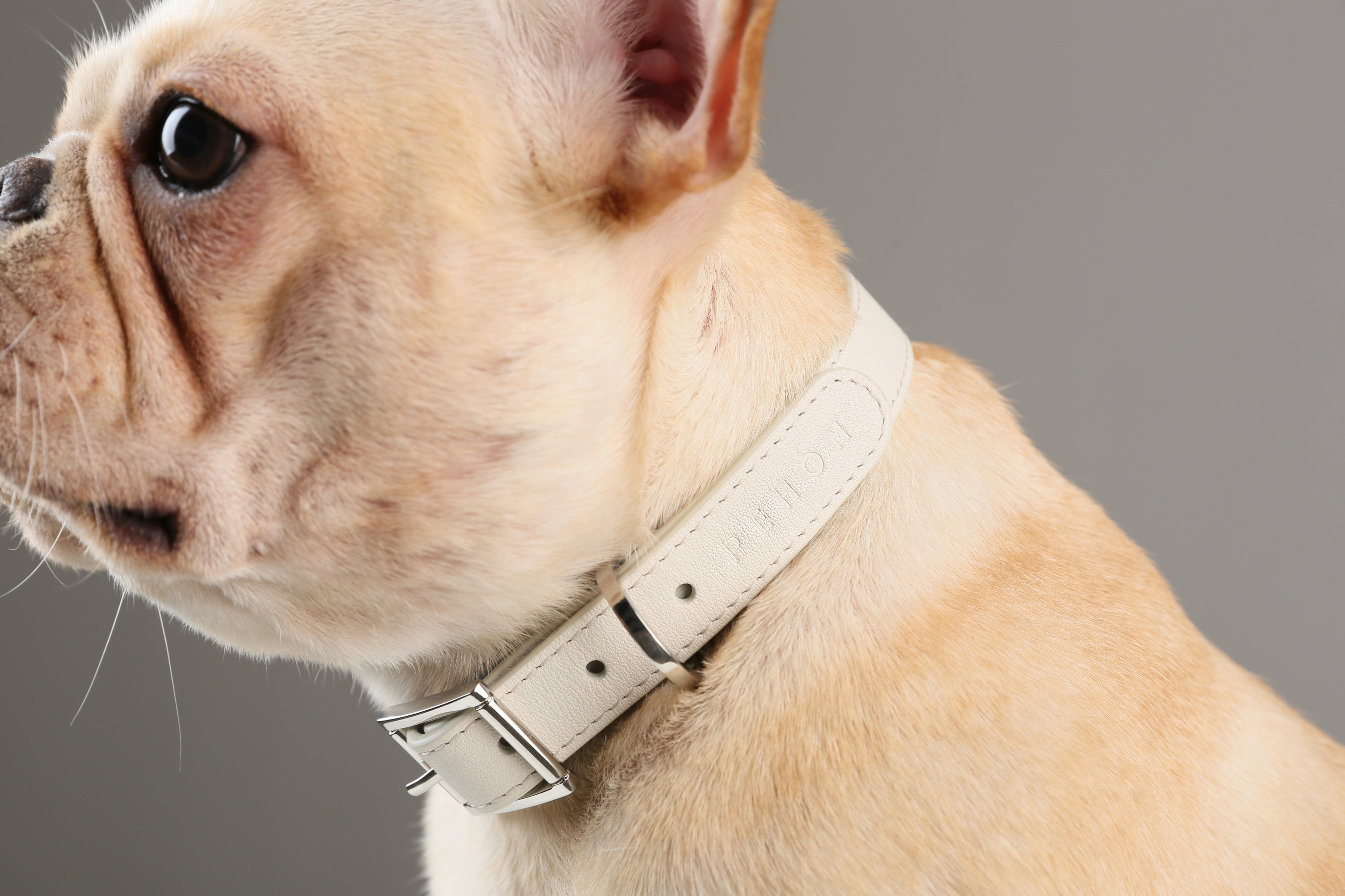 Andersen Calfskin Pet Collar-thumbmail-1