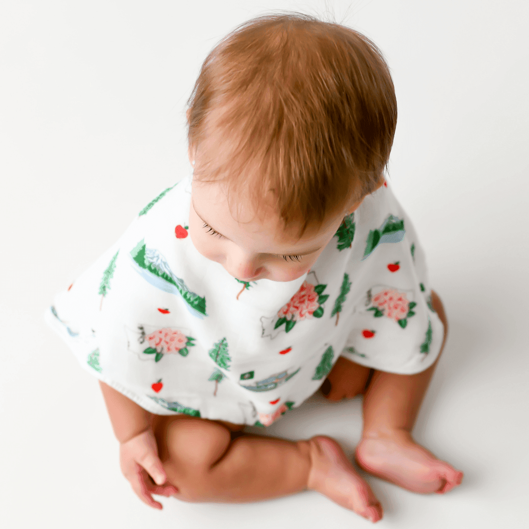 Baby Burp Cloth & Bib Combo: Washington (State)-thumbmail-2