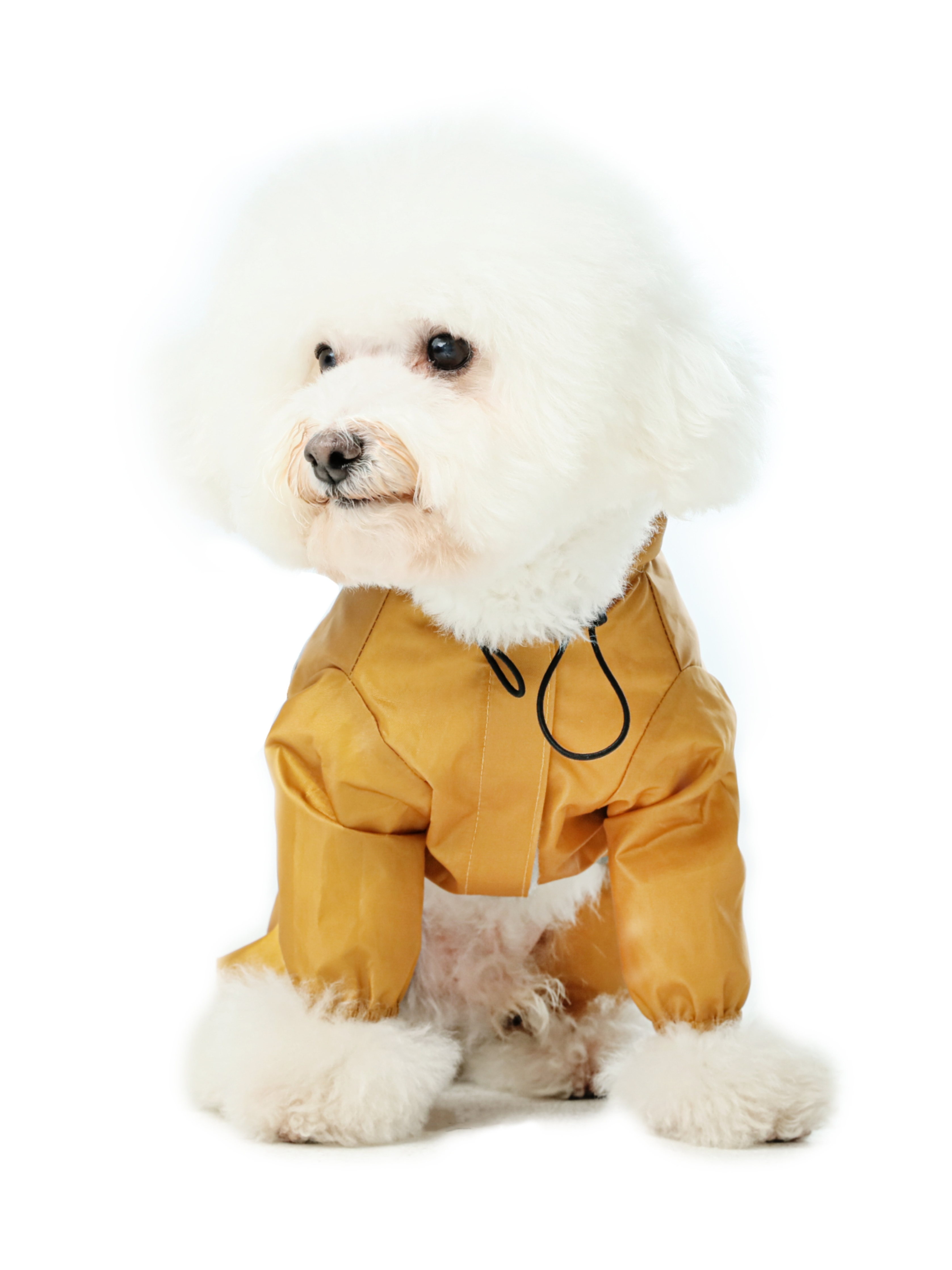 Ultralight Full Covered Hooded Waterproof Dog Jacket - Yellow-thumbmail-1