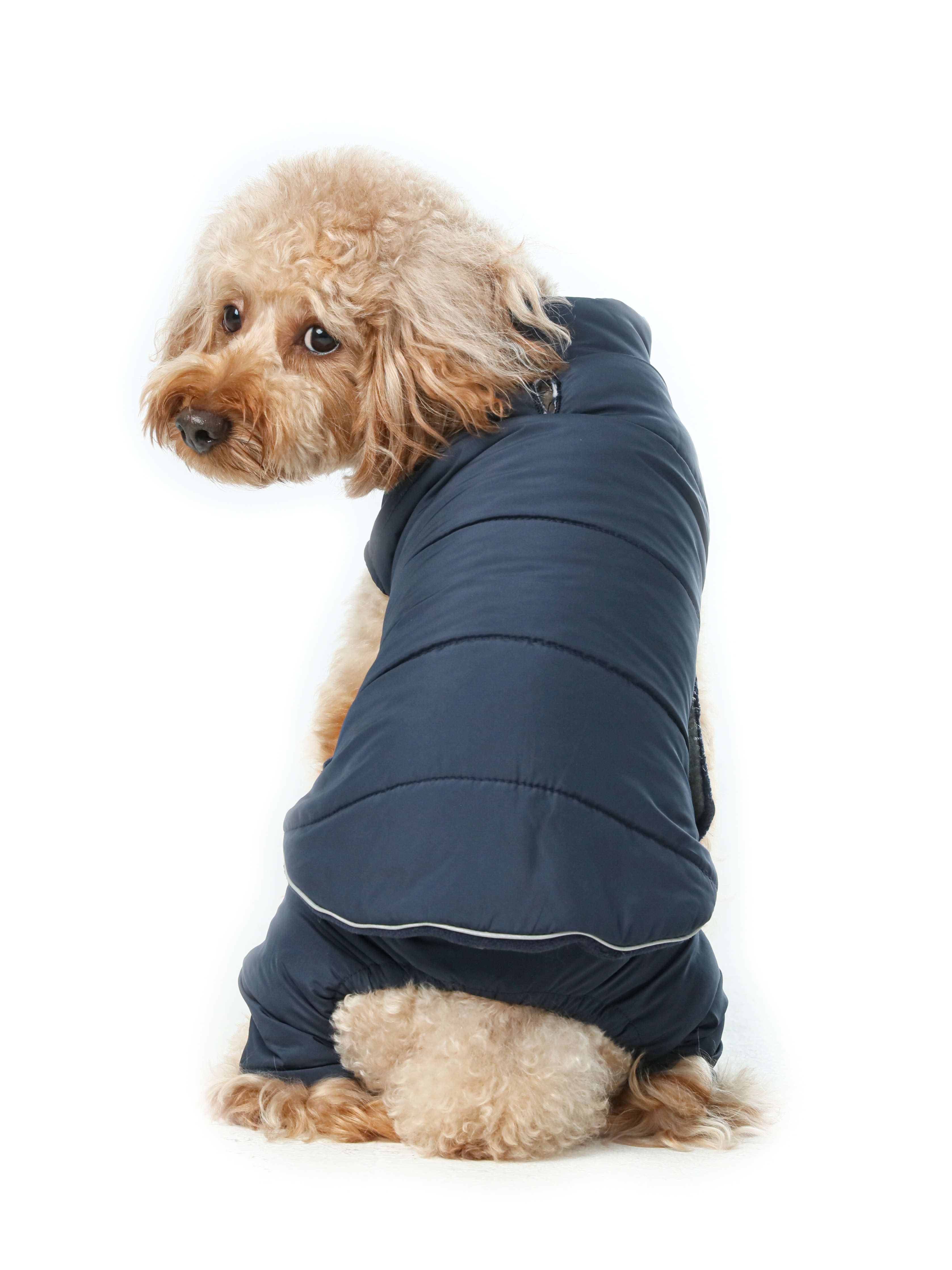 Reversible Dog Vest Jacket - Blue-thumbmail-1