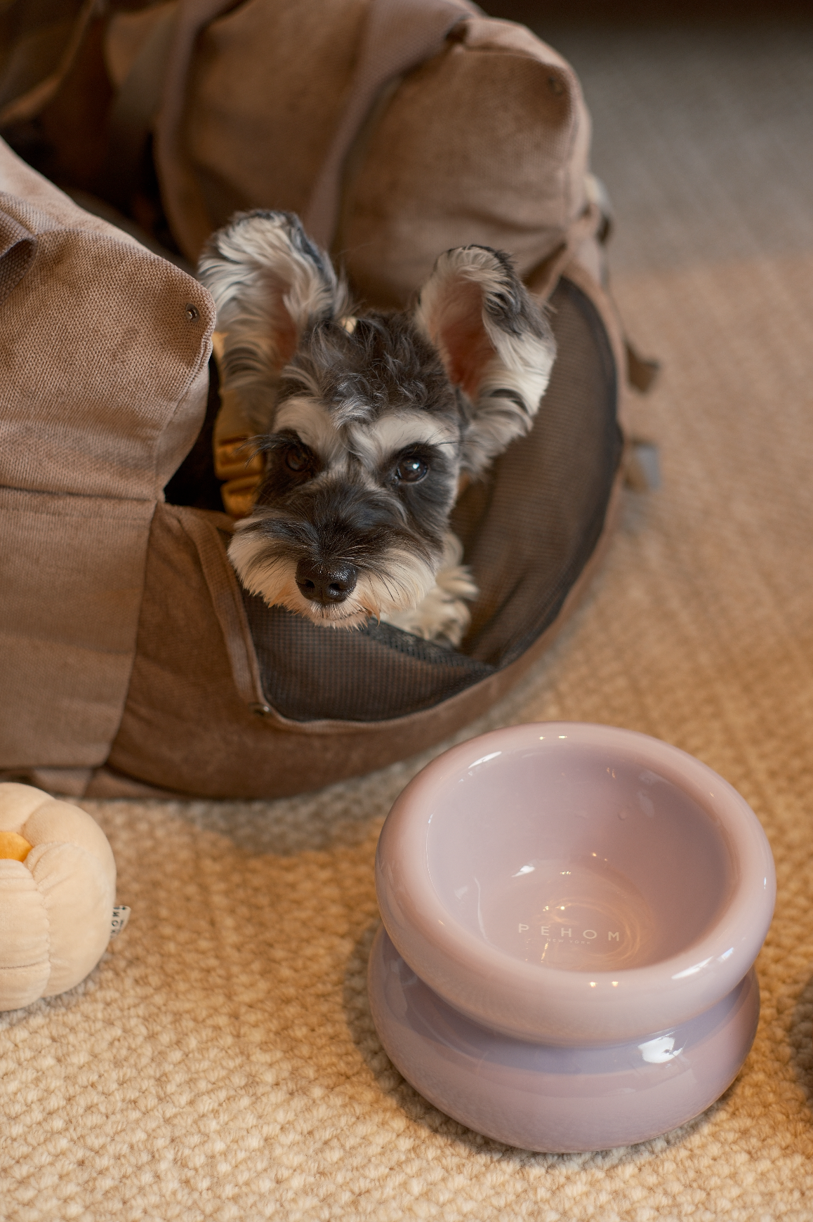 Soufflé Pet Bowl - Purple-thumbmail-2