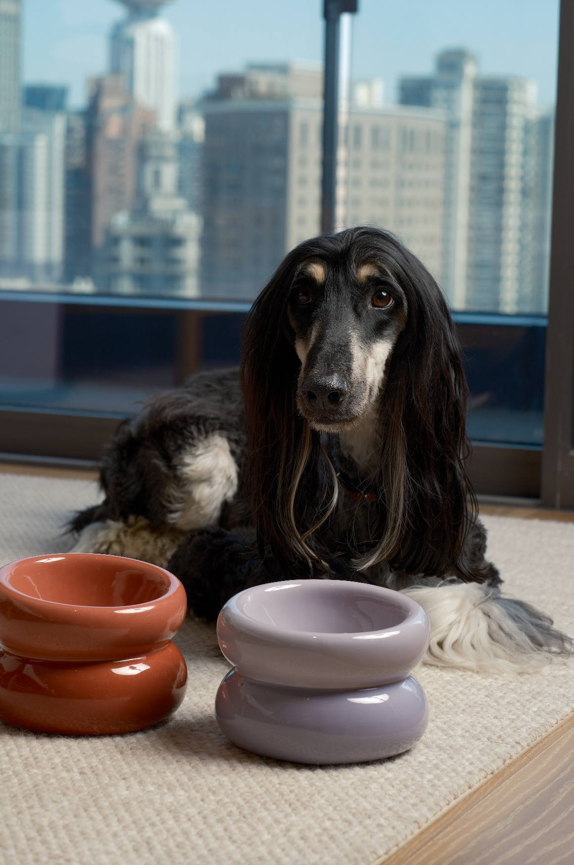 Soufflé Pet Bowl - Purple-thumbmail-1