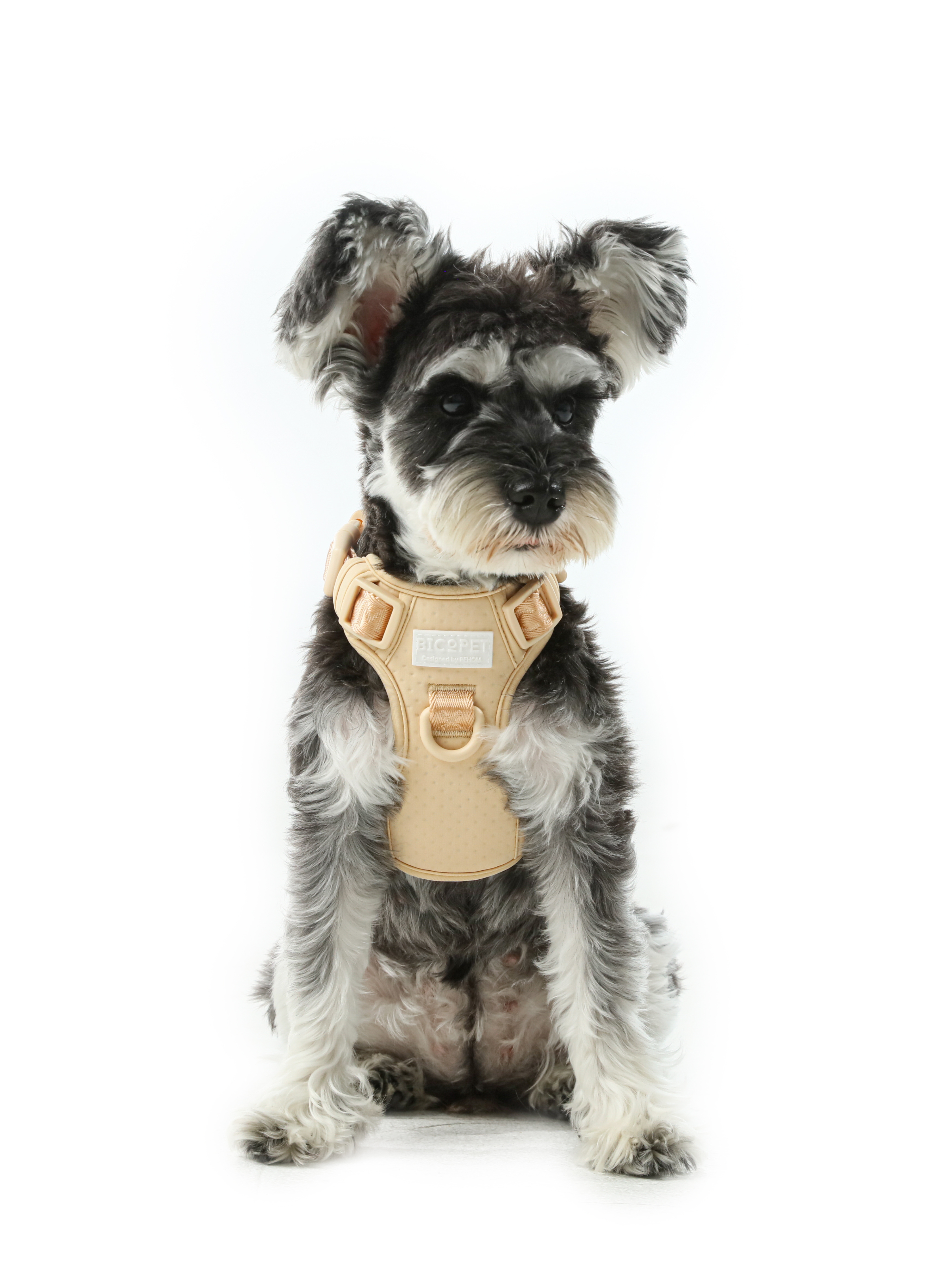 NO PULL ACTIVE  PET HARNESS - APRICOT-thumbmail-1