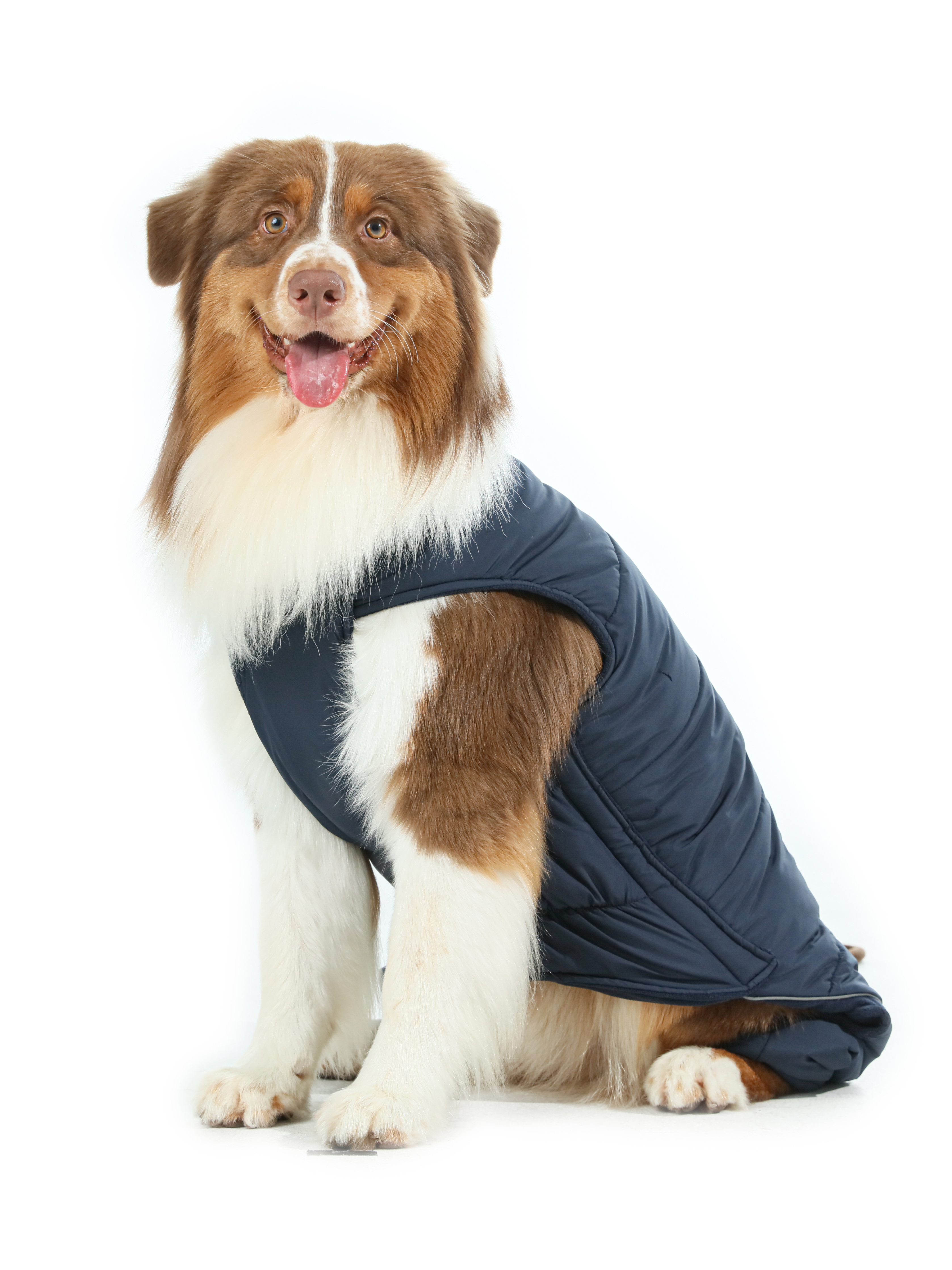 Reversible Dog Vest Jacket - Blue-thumbmail-4