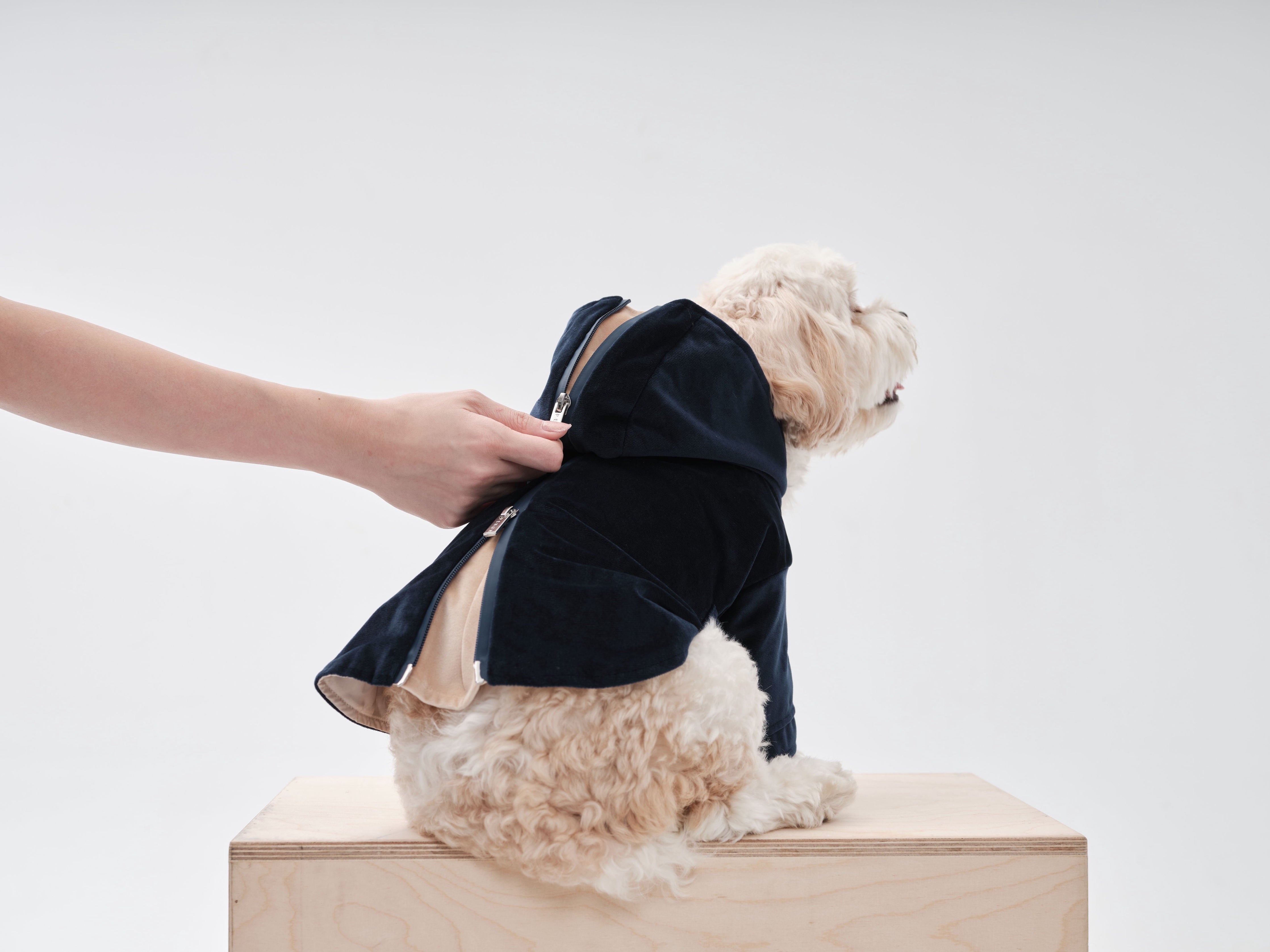 HUSTON HOODIE - MIDNIGHT BLUE-thumbmail-1