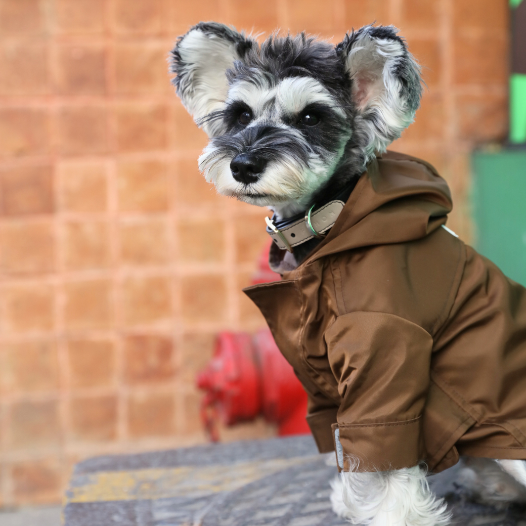 Tribeca Adjustable Velcro Raincoat -  Choco-thumbmail-3