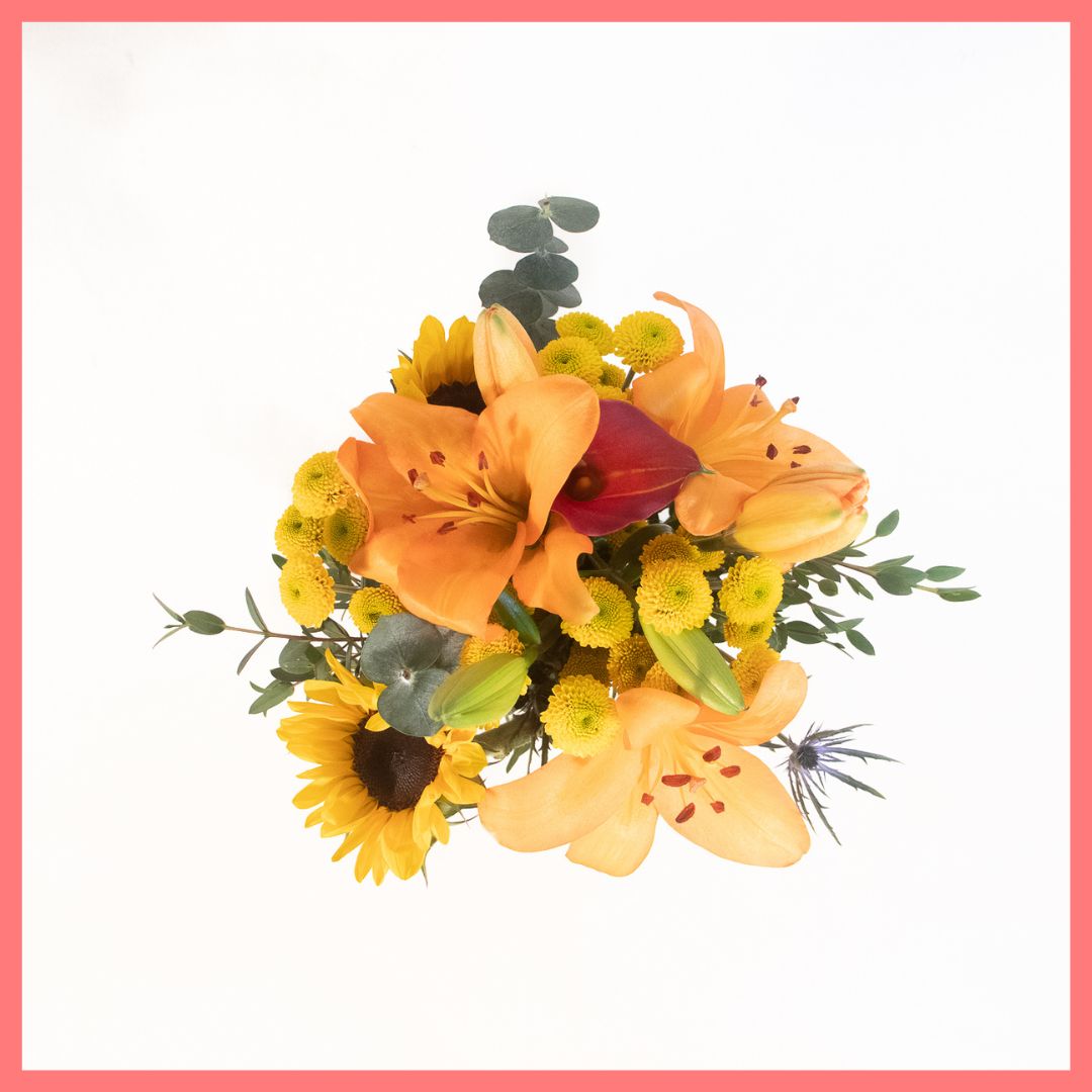 Golden Harvest-thumbmail-7