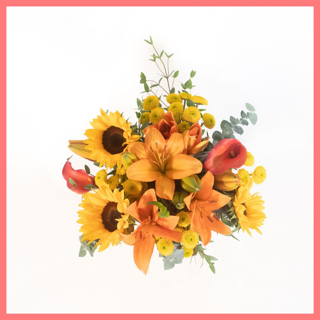 Golden Harvest-thumbmail-8