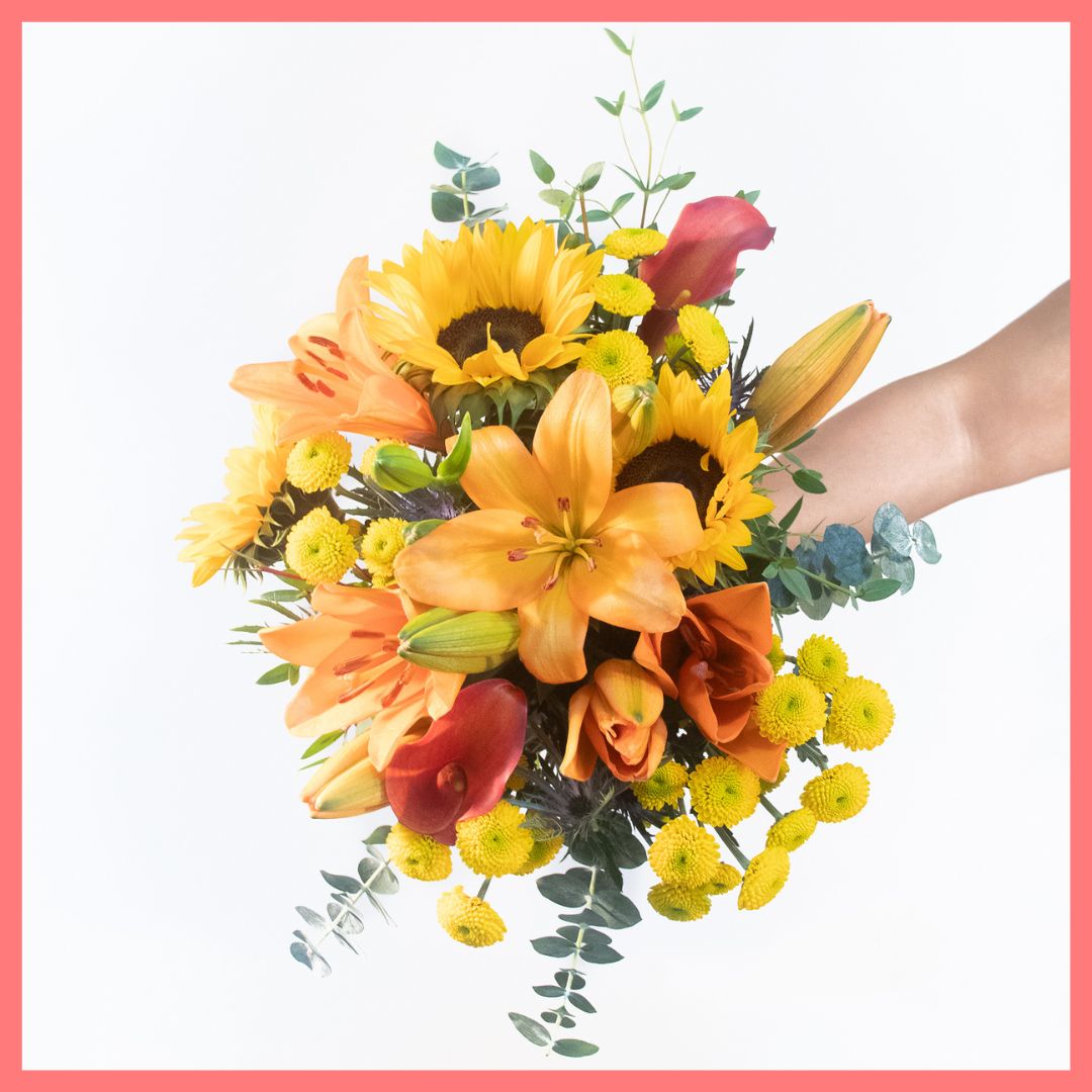 Golden Harvest-thumbmail-9
