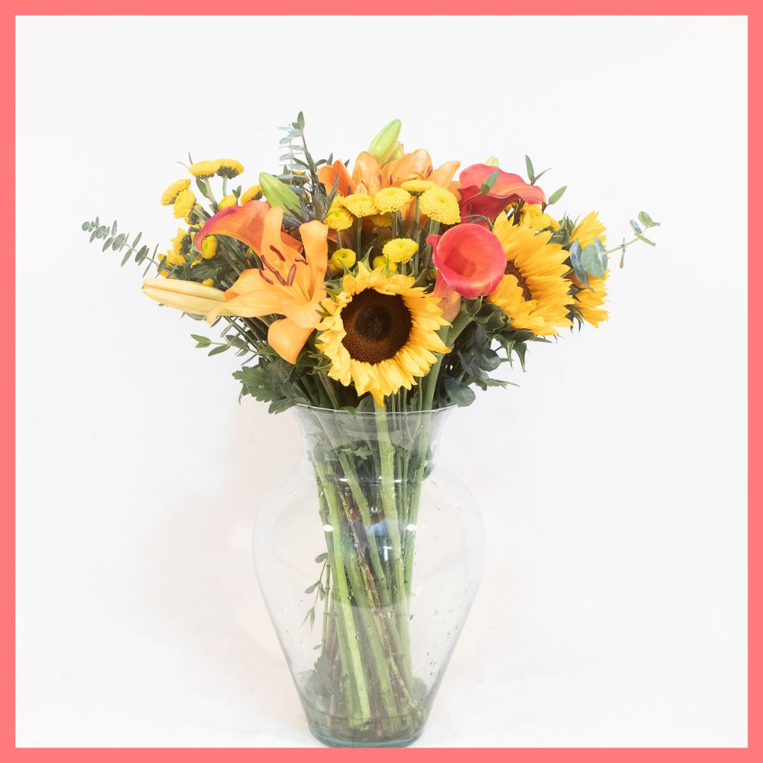 Golden Harvest-thumbmail-10