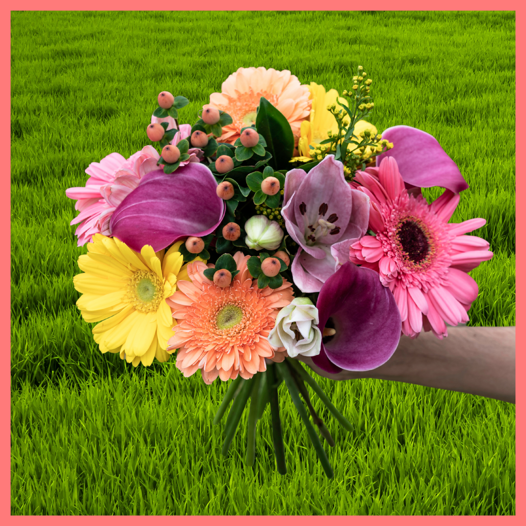 12 Month Gift Subscription-thumbmail-6