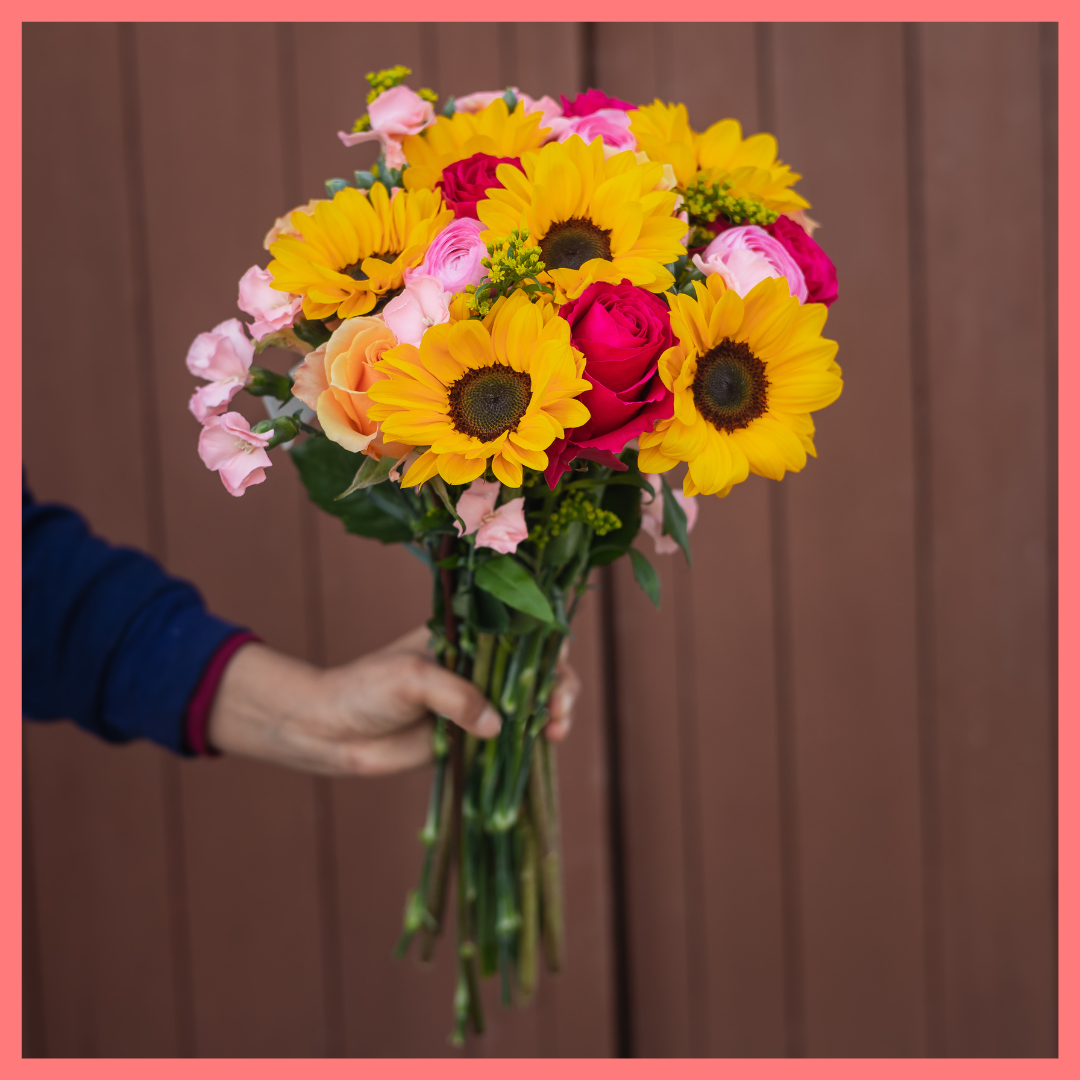 Here Comes the Sun(flower)-thumbmail-9