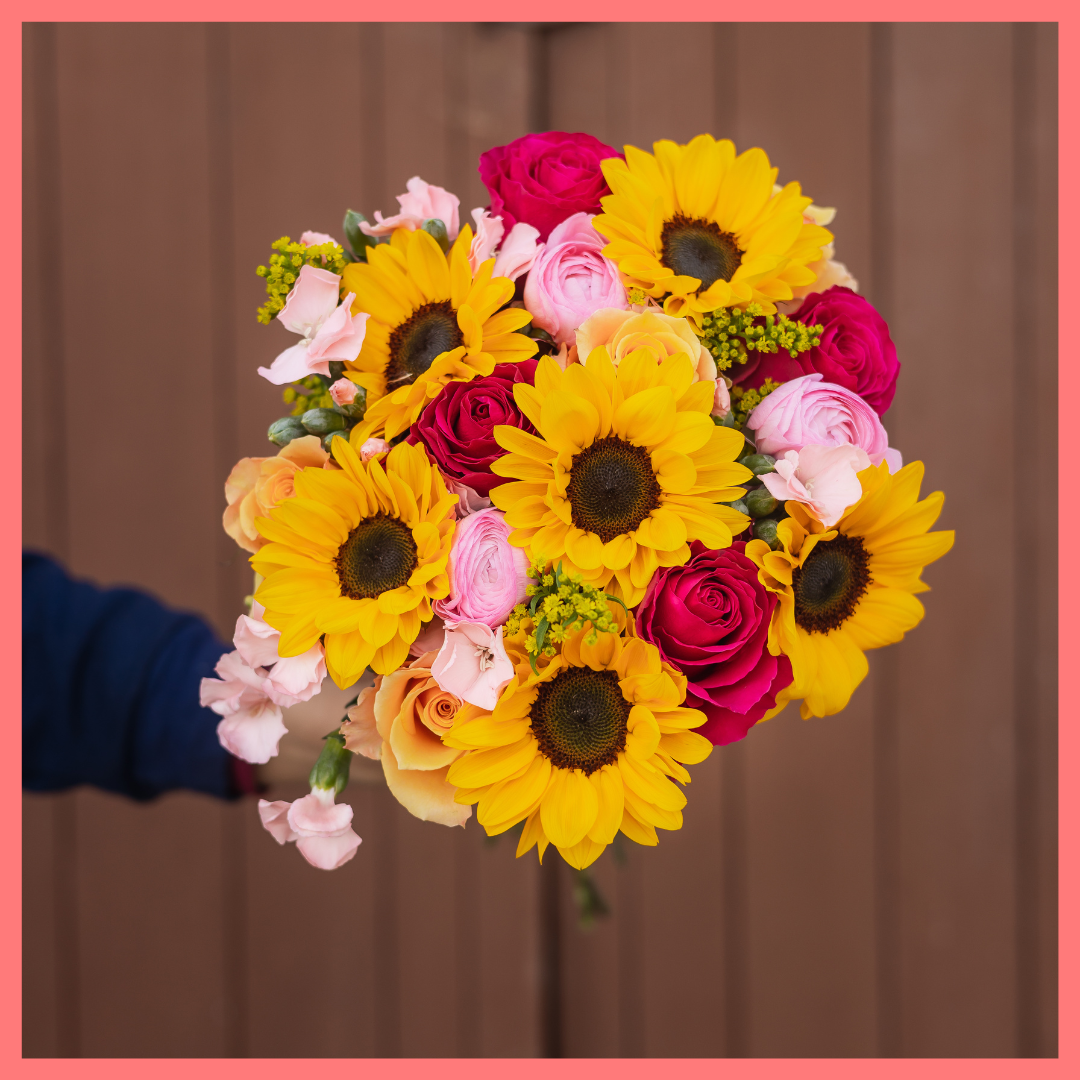 Here Comes the Sun(flower)-thumbmail-6