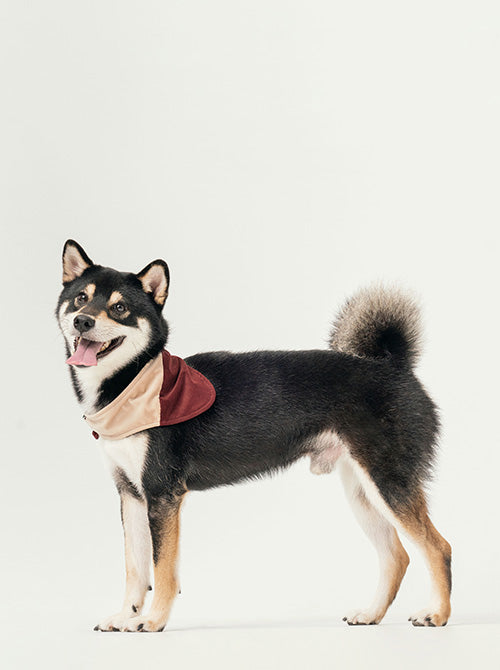 2 in 1 BANDANA - Beige/Red-thumbmail-3