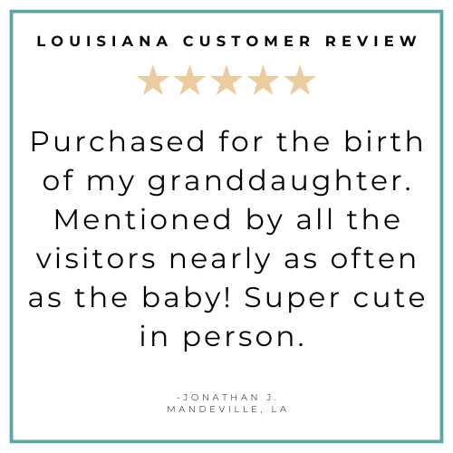 Louisiana Fleur De Lis Baby Gift Bundle-thumbmail-8