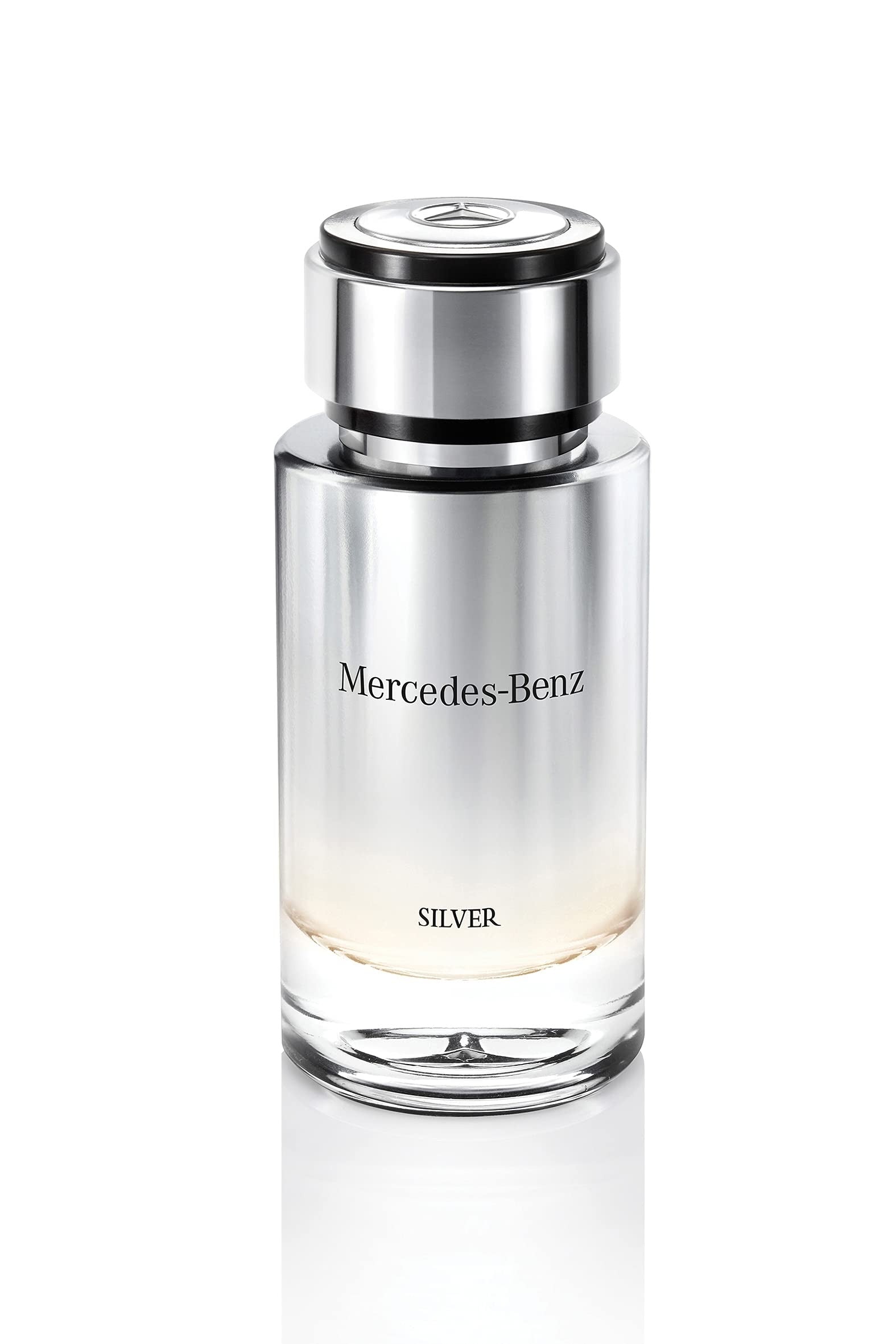 Mercedes-Benz Silver by Mercedes Benz-thumbmail-3