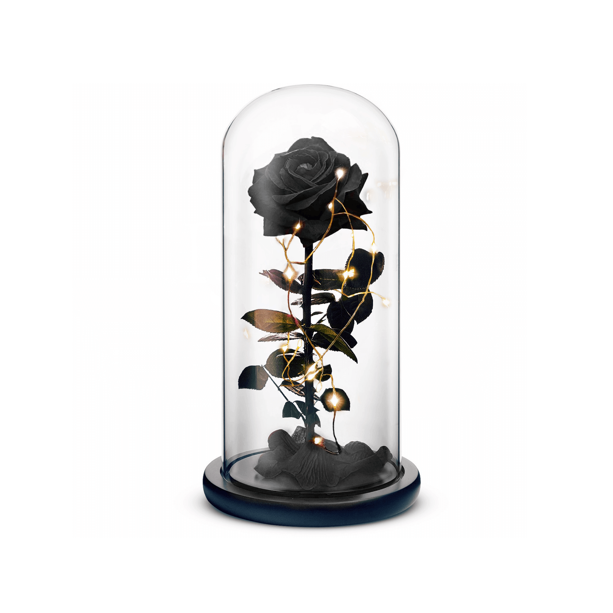 Beauty and the Beast Rose (Black)-thumbmail-1
