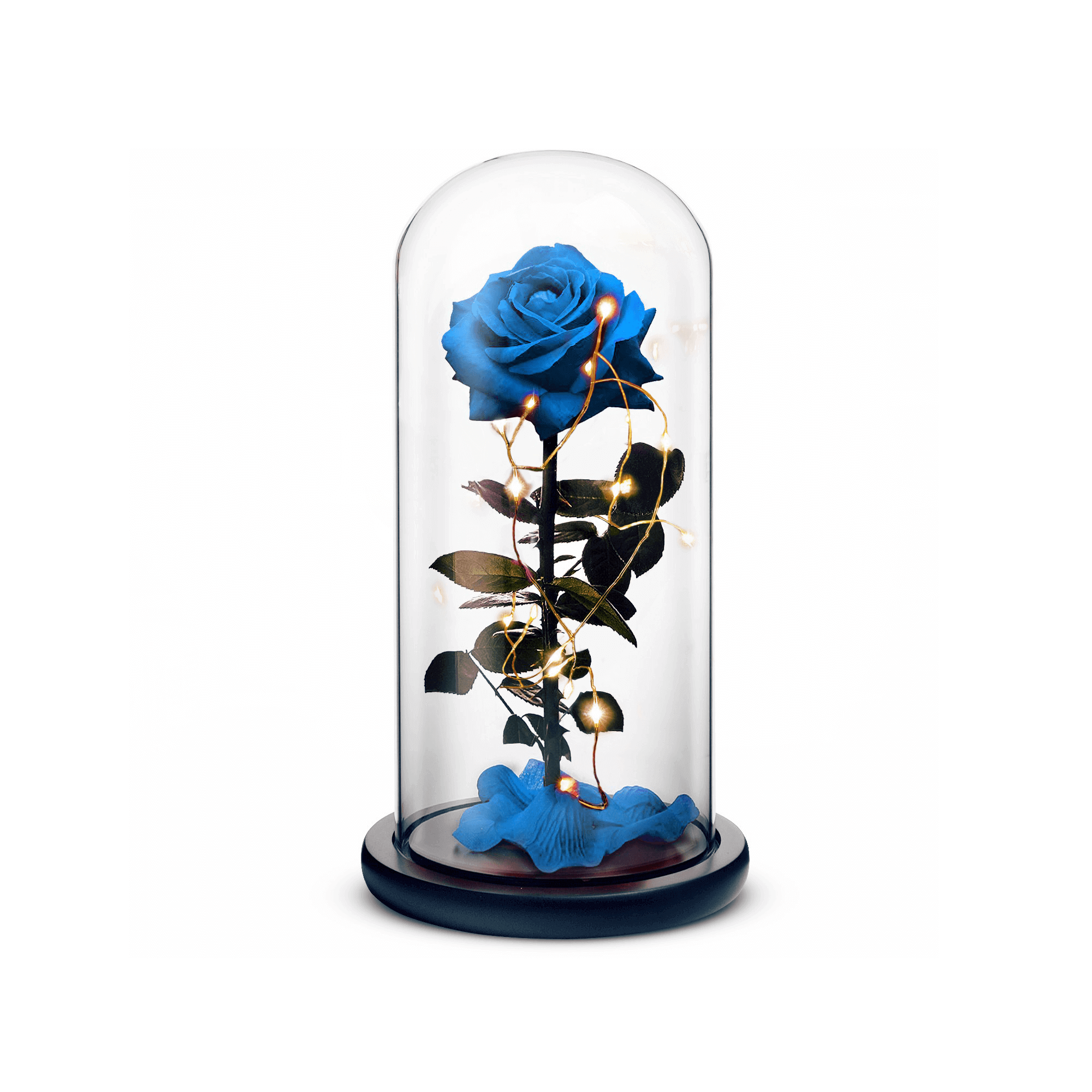 Beauty and the Beast Rose (Blue)-thumbmail-1