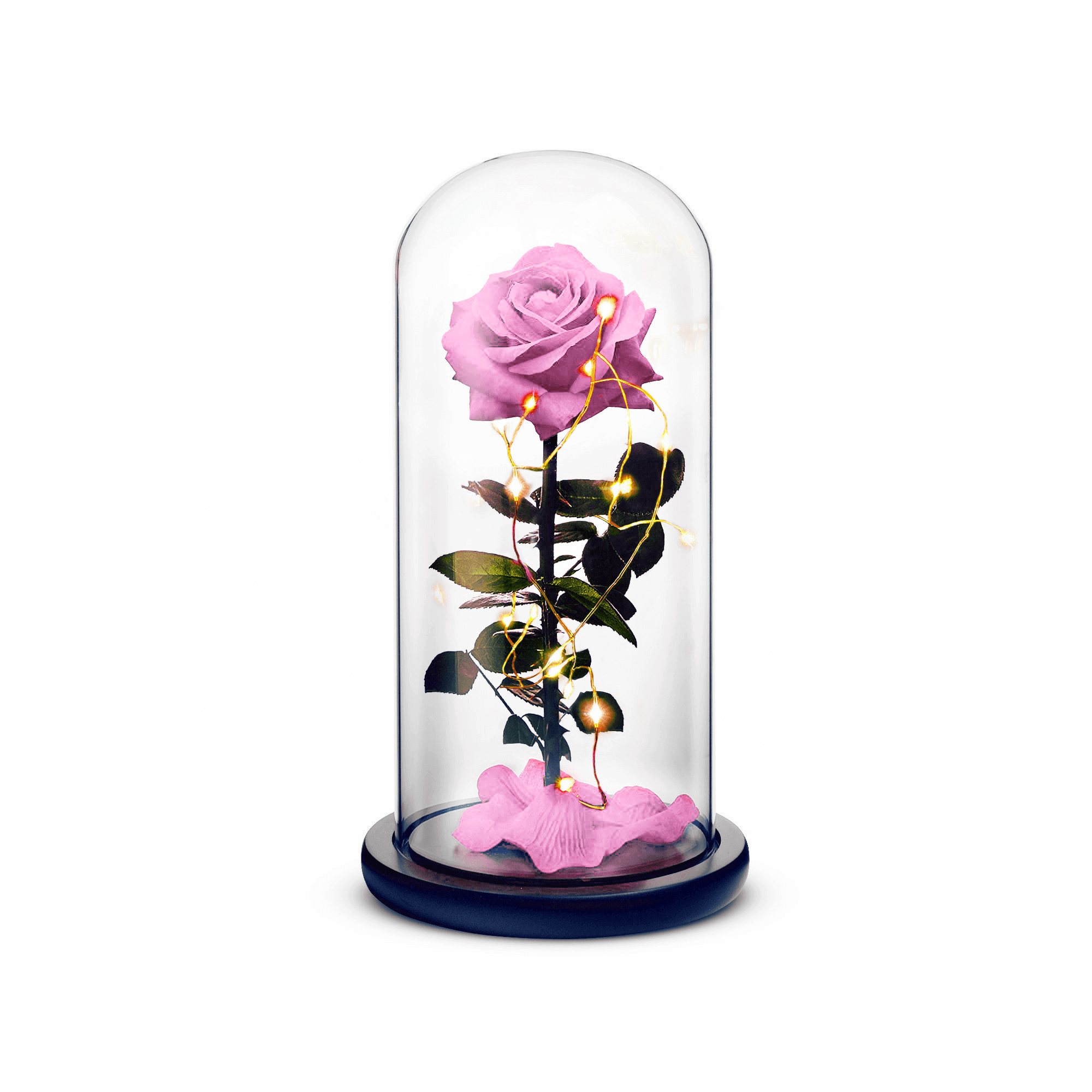Beauty and the Beast Rose (Pink)-thumbmail-1