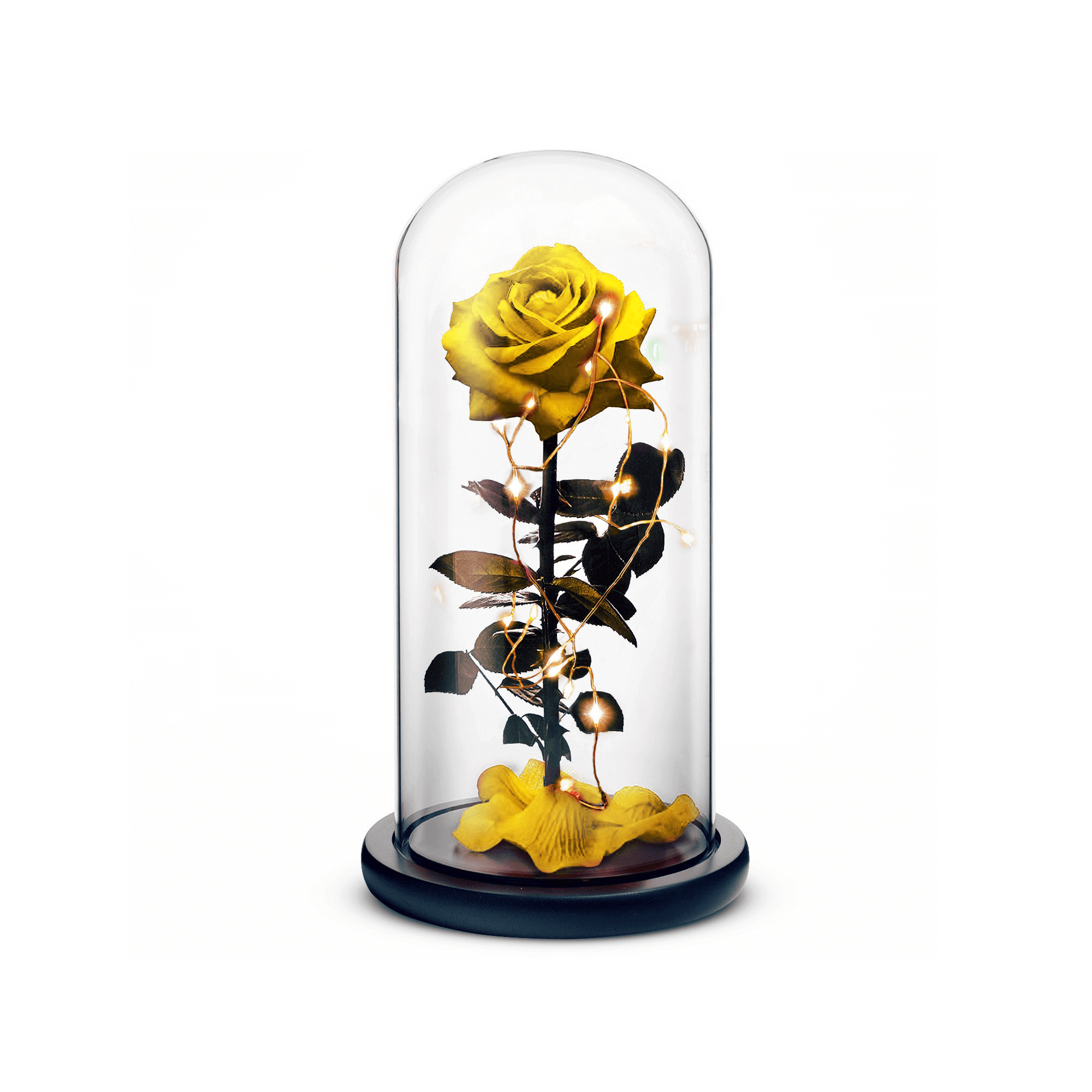 Beauty and the Beast Rose (Yellow)-thumbmail-1