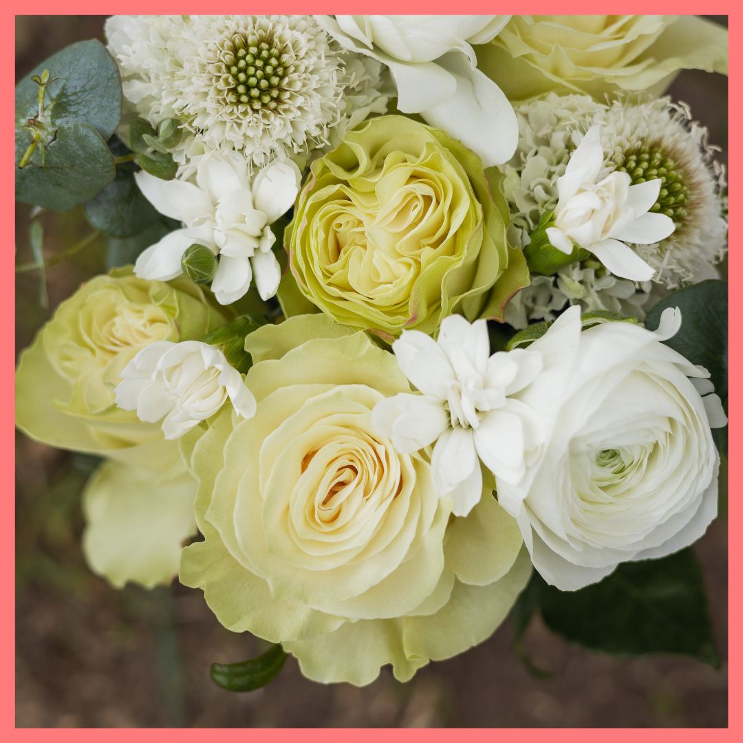 Best Wishes-thumbmail-3