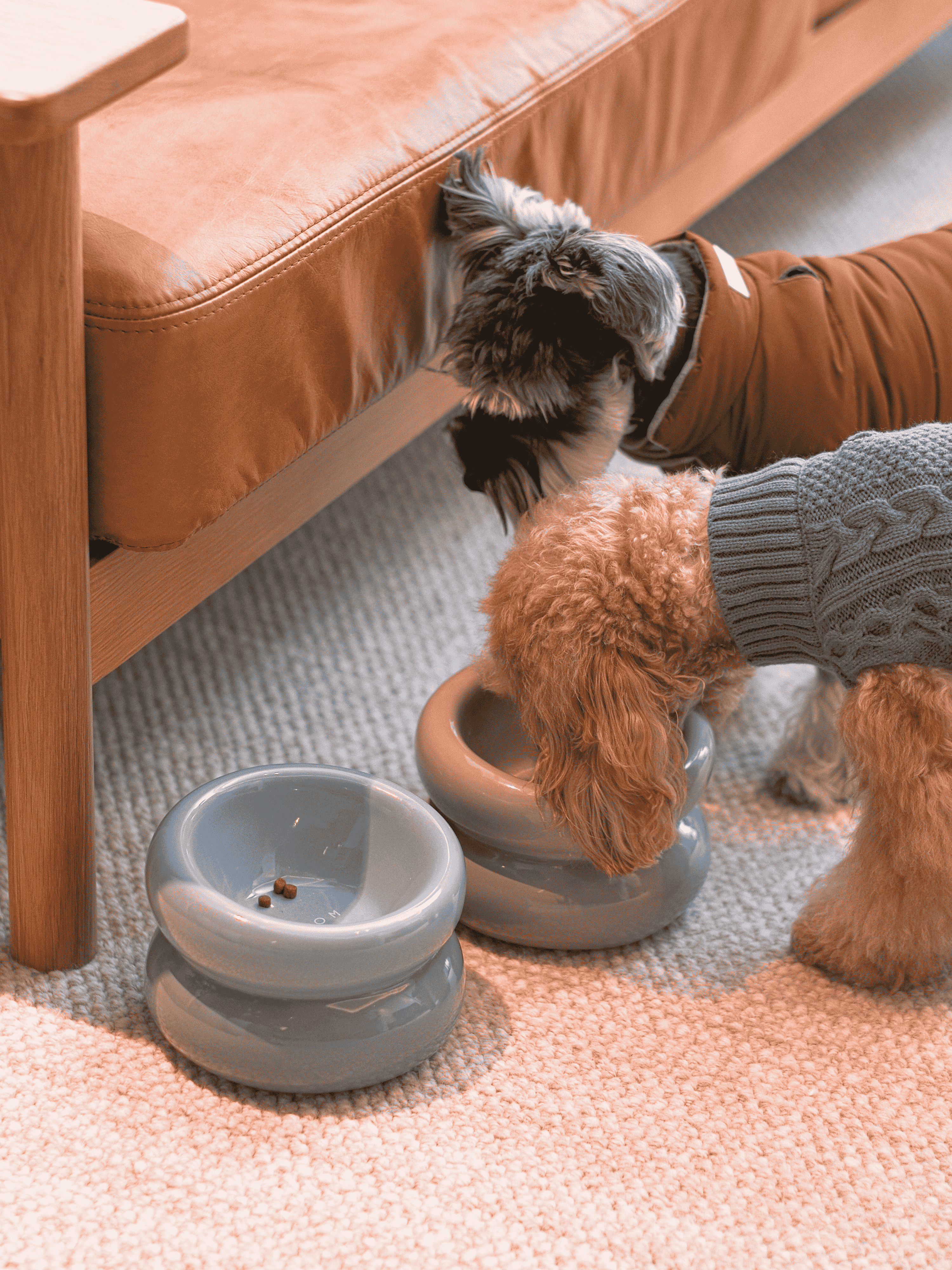Soufflé Pet Bowl - Frozen Blue-thumbmail-9