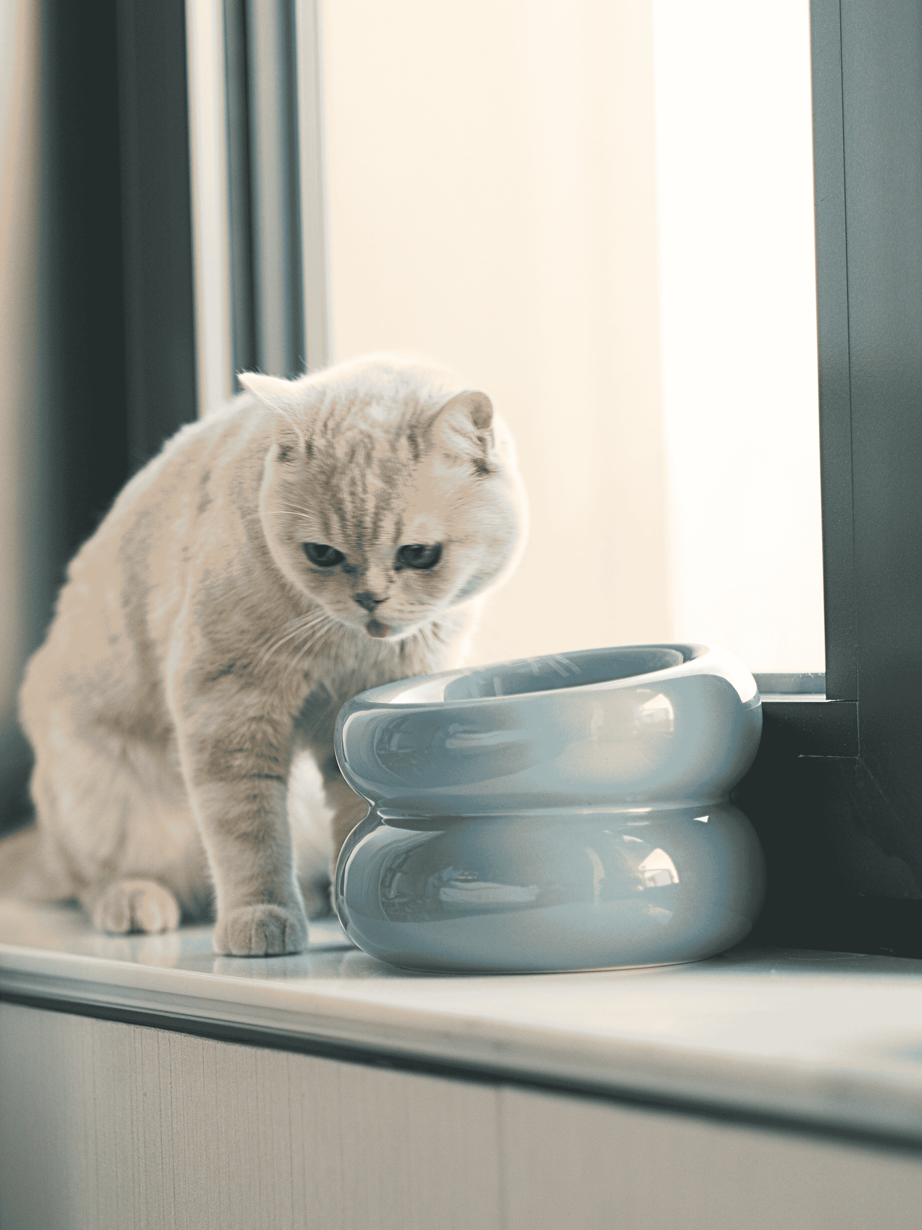Soufflé Pet Bowl - Frozen Blue-thumbmail-1