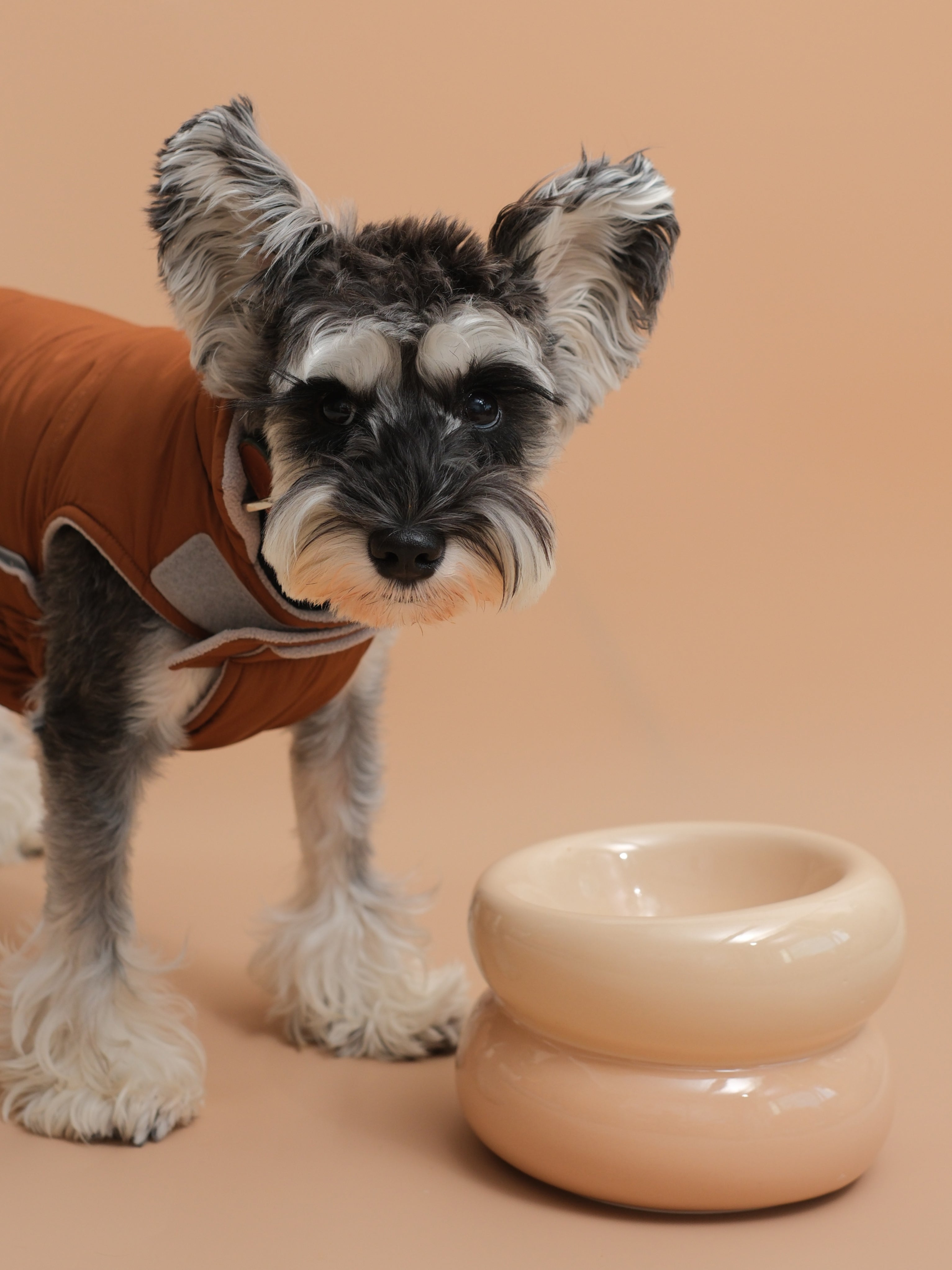 Soufflé Pet Bowl - Cream Beige-thumbmail-8