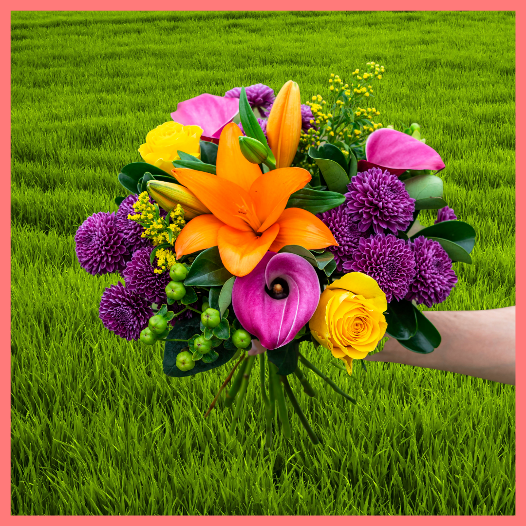 3 Month Gift Subscription-thumbmail-4