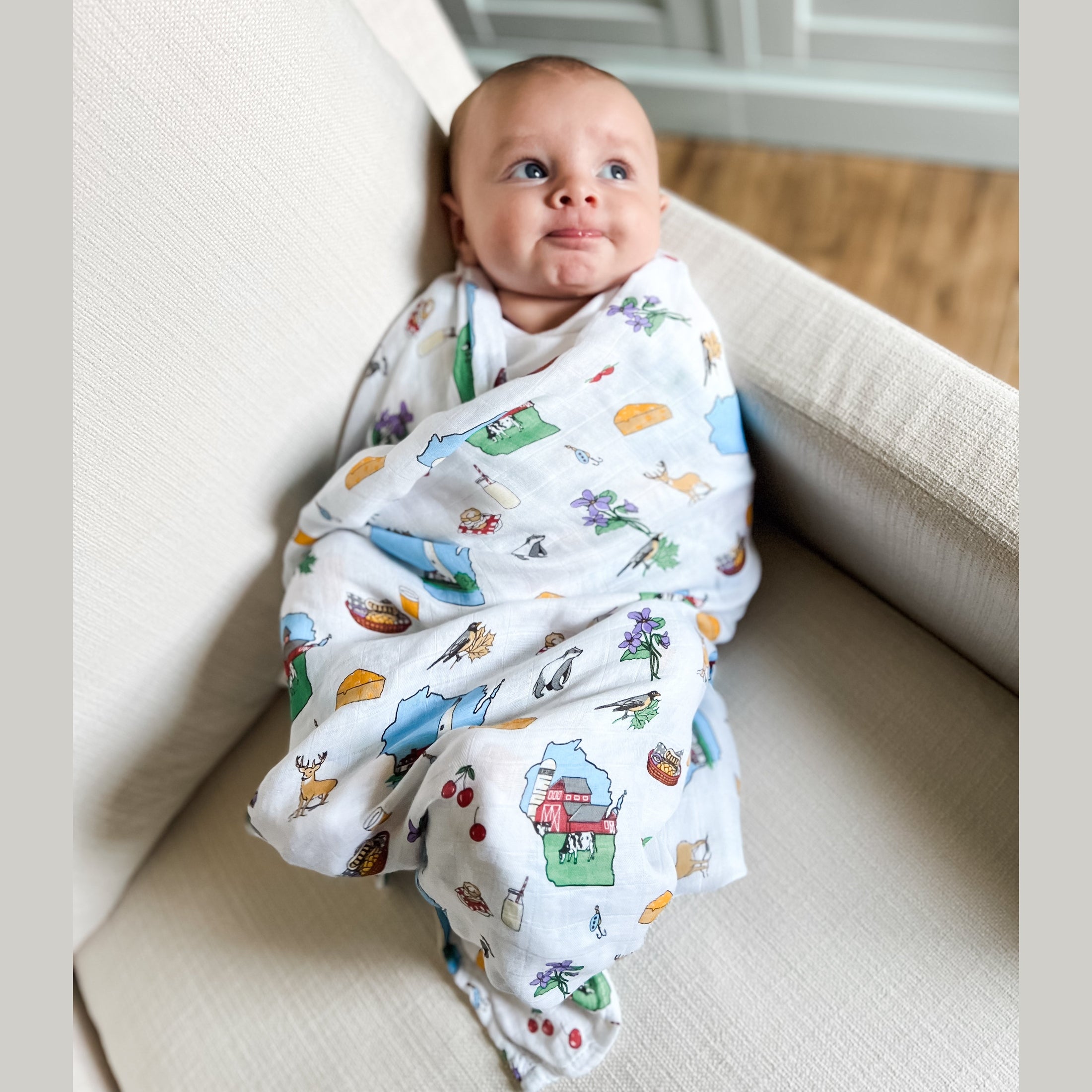 Wisconsin Baby Gift Bundle-thumbmail-6